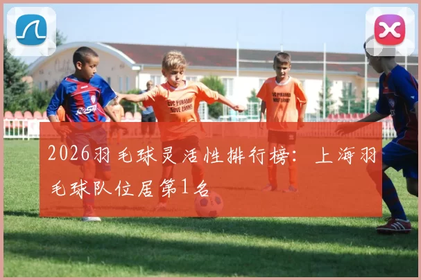 2026羽毛球灵活性排行榜：上海羽毛球队位居第1名