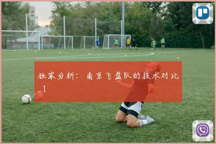 独家分析：南京飞盘队的技术对比_1