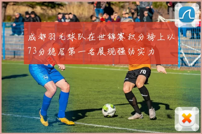 成都羽毛球队在世锦赛积分榜上以73分稳居第一名展现强劲实力