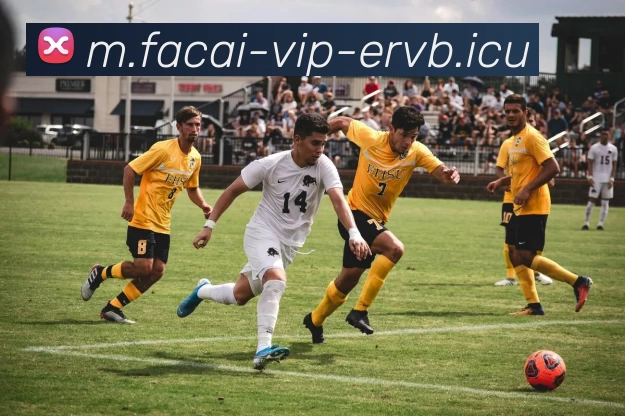 乐竞体育注册APP 封面图